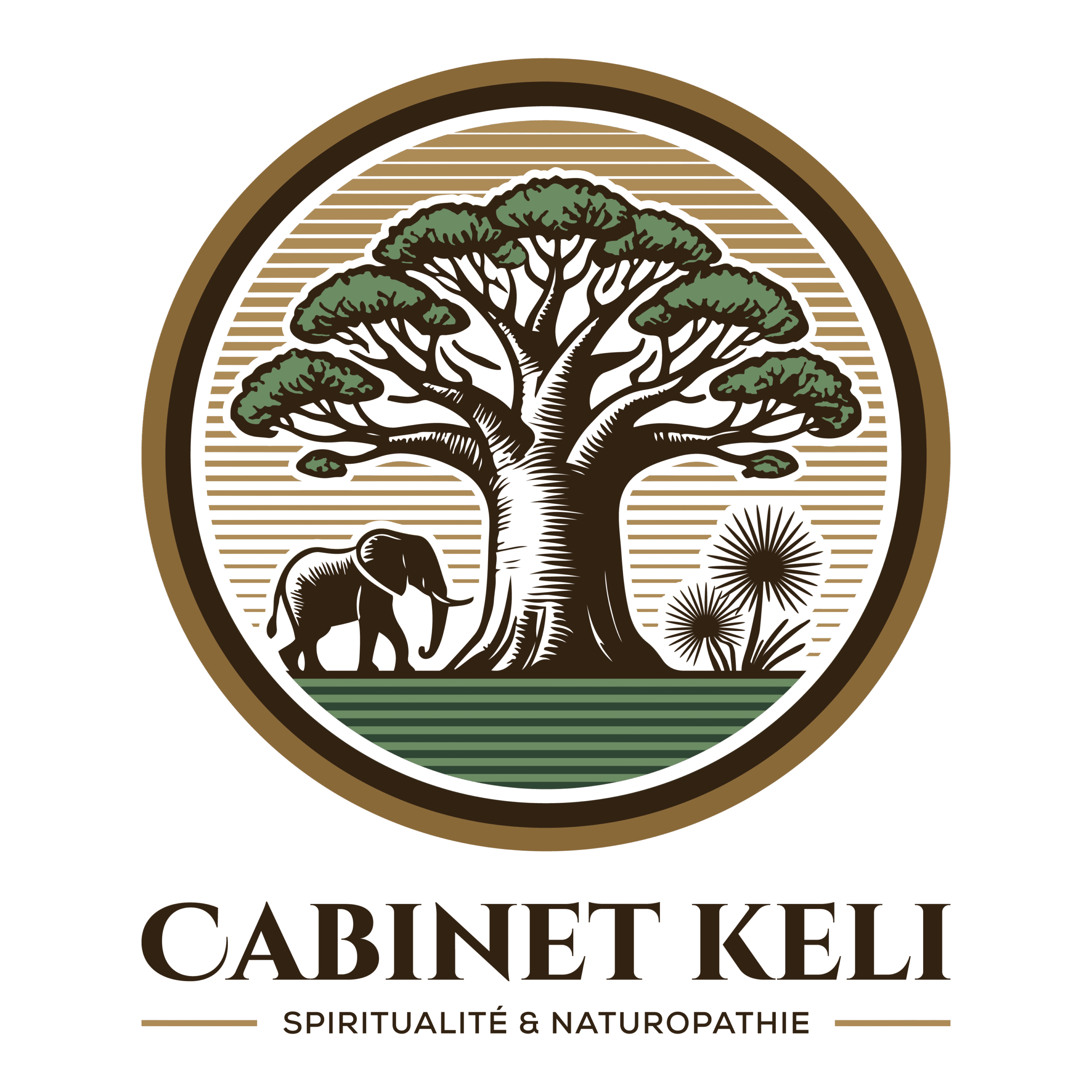 Plus de 500 clients accompagnés